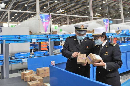 武漢海關持續(xù)加強進口商品風險監(jiān)測切實維護消費者權益